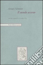 Il mondo accanto libro