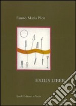 Exilis liber libro