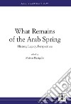 What remains of the Arab Spring. History, legacy, perspectives libro di Pizzigallo M. (cur.)