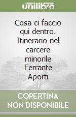 Cosa ci faccio qui dentro. Itinerario nel carcere minorile Ferrante Aporti libro