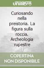 Curiosando nella preistoria. La figura sulla roccia. Archeologia rupestre libro