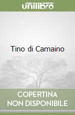 Tino di Camaino libro