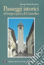 Passeggi istorici al borgo e pieve di Cannobio libro