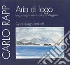 Aria di lago. Lungo viaggio intorno al Lago Maggiore. Dipinti, disegni, incisioni libro di Rapp Carlo