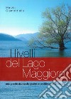 I livelli del Lago Maggiore. Una grande risorsa da gestire. Un problema da affrontare libro