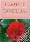 Camelie del Lago Maggiore. Estratto da «Antiche camelie». Ediz. italiana e inglese. Vol. 3 libro di Bertolazzi Gianbattista Hillebrand Piero