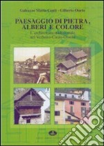 Paesaggio di pietra, alberi e colore. L'architettura tradizionale nel Verbano-Cusio-Ossola. Ediz. illustrata