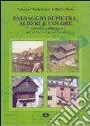 Paesaggio di pietra, alberi e colore. L'architettura tradizionale nel Verbano-Cusio-Ossola. Ediz. illustrata libro