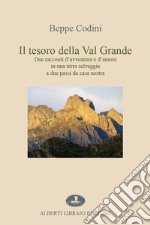 Il tesoro della Val Grande. Due racconti d'avventura e d'amore in una terra selvaggia a due passi da casa nostra libro