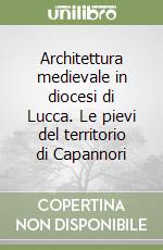 Architettura medievale in diocesi di Lucca. Le pievi del territorio di Capannori libro