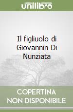 Il figliuolo di Giovannin Di Nunziata libro