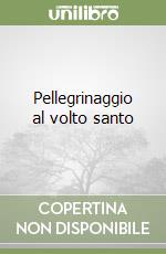 Pellegrinaggio al volto santo libro