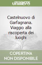 Castelnuovo di Garfagnana. Viaggio alla riscoperta dei luoghi libro