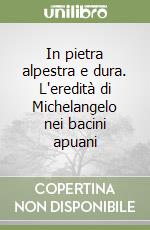 In pietra alpestra e dura. L'eredità di Michelangelo nei bacini apuani libro