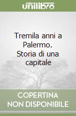 Tremila anni a Palermo. Storia di una capitale