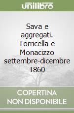 Sava e aggregati. Torricella e Monacizzo settembre-dicembre 1860 libro