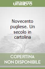 Novecento pugliese. Un secolo in cartolina libro