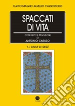 Spaccati di storia. Opere libro