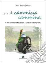 E cammina cammina. Il mio cammino da Roncisvalle a Santiago de Compostela libro