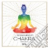Piccolo libro dei chakra libro