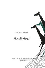 Piccoli viaggi libro