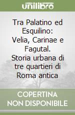 Tra Palatino ed Esquilino: Velia, Carinae e Fagutal. Storia urbana di tre quartieri di Roma antica