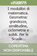 I modulibri di matematica. Geometria: grandezze, similitudine, ciclometria e solidi. Per le Scuole superiori libro