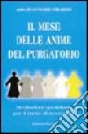 Il mese delle anime del purgatorio. Meditazioni quotidiane libro