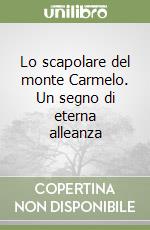 Lo scapolare del monte Carmelo. Un segno di eterna alleanza libro