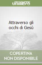 Attraverso gli occhi di Gesù (1) libro