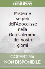 Misteri e segreti dell'Apocalisse nella Gerusalemme dei nostri giorni libro