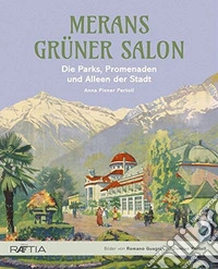 Merans grüner salon. Ediz. illustrata