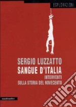 Sangue d'Italia. Interventi sulla storia del Novecento libro