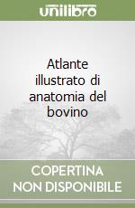 Atlante illustrato di anatomia del bovino