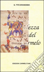 Bellezza del Carmelo. Appunti storici di mistica carmelitana. Via crucis, pace e amore per la pace