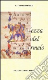 Bellezza del Carmelo. Appunti storici di mistica carmelitana. Via crucis, pace e amore per la pace libro