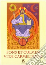 Fons et culmen vitae carmelitanae. Proceedings of the carmelite liturgical seminar (S. Felice del Benaco, 13-16 June 2006) libro