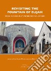 Revisiting the fountain of Elijah. Essays in honour of Wilfrid McGreal O. Carm libro