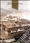 Larderello. Alle origini dell'energia geotermica. Ediz. illustrata libro di Marinelli G. (cur.)