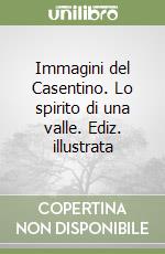 Immagini del Casentino. Lo spirito di una valle. Ediz. illustrata