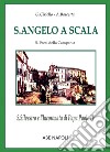 S. Angelo a scala. San Silvestro e l'Incoronata di papa Paolo IV (nuova serie) libro