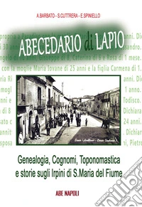 Abecedario di Lapio: genealogia, cognomi, toponomastica e storie sugli Irpini di S. Maria del Fiume libro