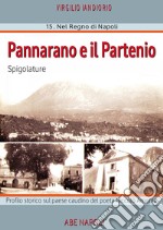 Pannarano e il Partenio: spigolature nel paese di Amenta che Caracciolo il galante teneva in signoria nel regno di Napoli libro