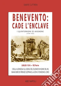 Benevento. Cade l'Enclave. I della leonessa sul sedile del Duomo in nome del re, i banchieri di Firenze scippano la seta e fondono l'oro. I quinternioni di Avignone (1316-1322). Vol. 7: Luglio 1316 libro