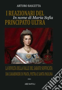 In nome di Maria Sofia, i reazionari del principato Ultra: la rivolta della Valle del Sabato soffocata dai Carabinieri di Prata, Pietra e Santa Paolina nel 1861 libro