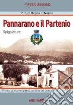 Pannarano e il Partenio: spigolature. Profilo storico sul paese caudino del poeta Niccolò Amenta. Nuova ediz. libro