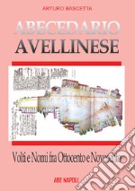 Abecedario avellinese: volti e nomi fra '800 e '900. La città prima e dopo il 1861 libro