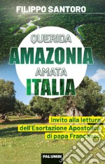 Querida Amazonia amata Italia. Invito alla lettura dell'Esortazione Apostolica di papa Francesco libro