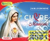 Cuore di mamma. Calendario 2021 art vari a