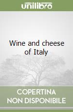 Wine and cheese of Italy